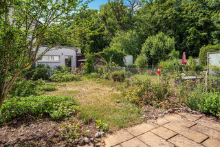 overgrown garden