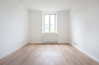 Photo de la pépinière 1
