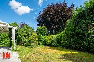 Garten 1