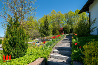 Steingarten, Zugang Haus