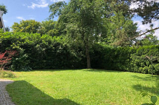 Southwest-facing building plot