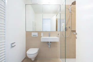 Bagno con doccia e WC