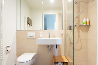 独立淋浴间和卫生间