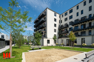 Campus en el patio