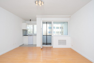 1-room apartment