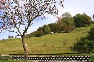 Hinter dem Haus 1