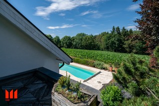 Blick Dachterrasse