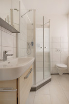 Daylight bathroom with shower 