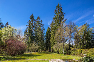 Rarität, Waldtrudering!