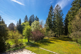 sonnig, toller Baumbestand!
