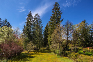 am Forstgebiet Unterholz